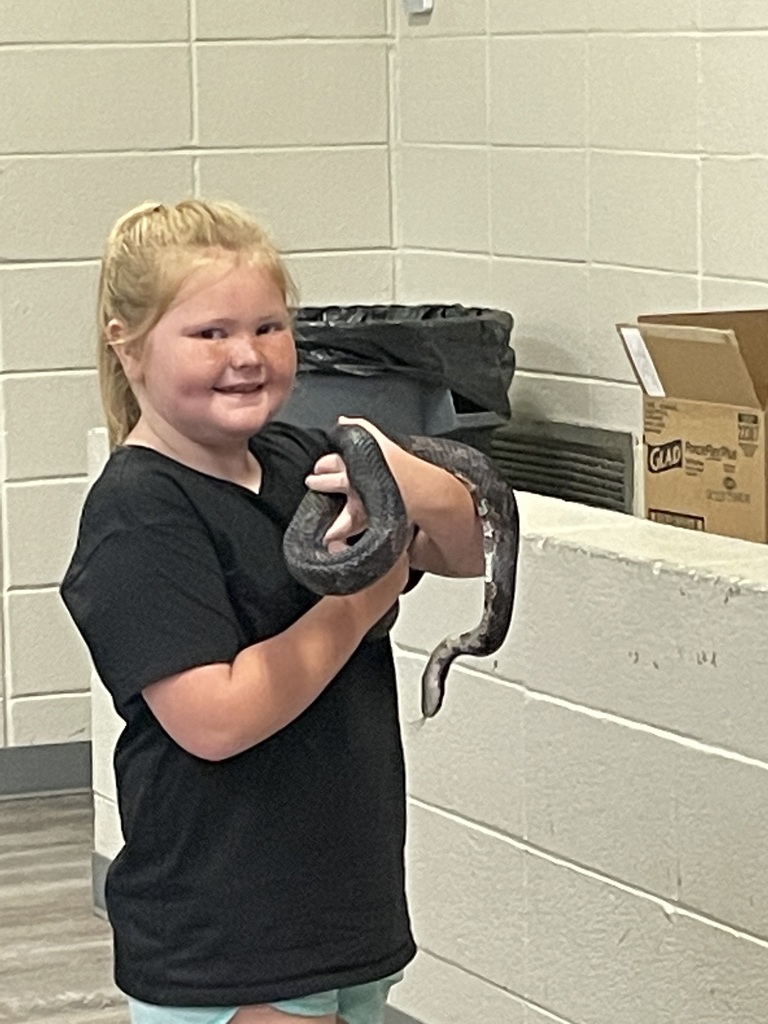STEAM Camp D3 P2