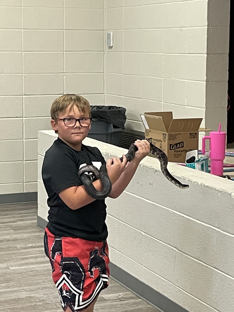 STEAM Camp D3 P2