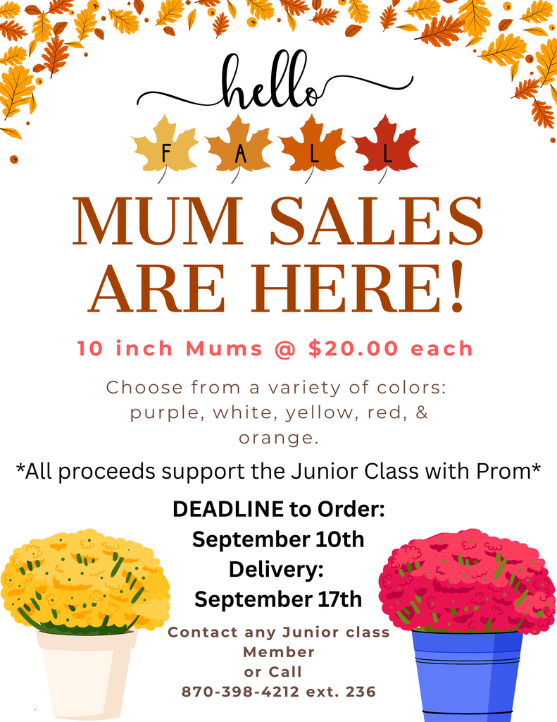Mum Sales 2026