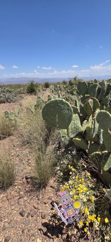 Flat Trojan Big Bend