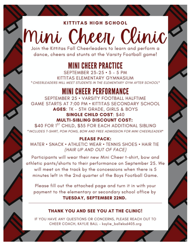 Mini cheer clinic