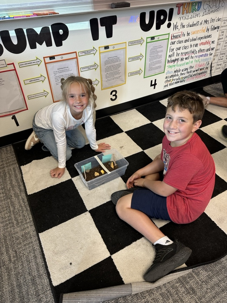 students with roly-poly habitats