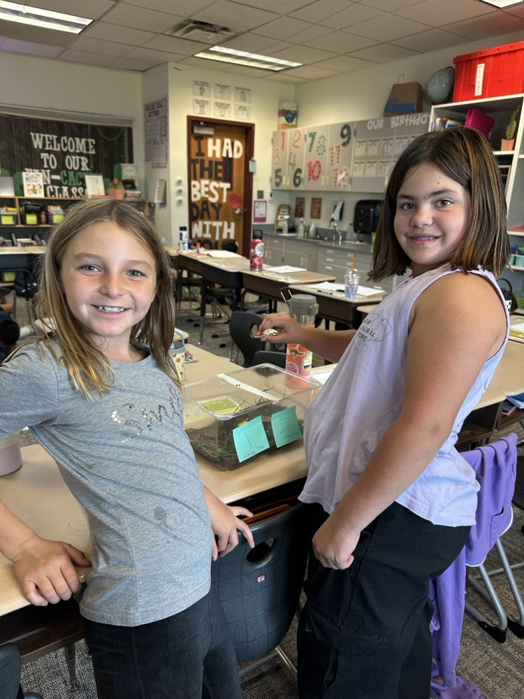 students with roly-poly habitats