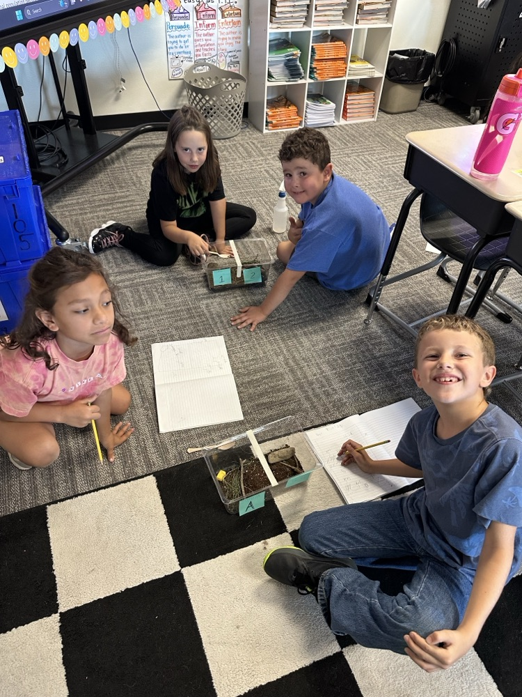 students with roly-poly habitats
