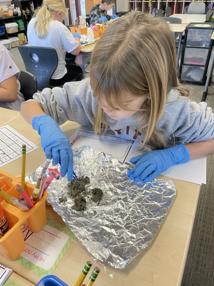 students dissecting owl pellets