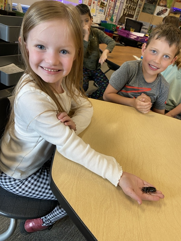 kindergarten student holding a Bess beetle