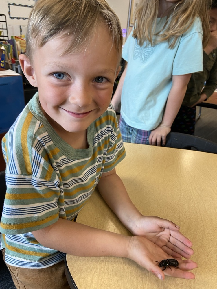kindergarten student holding a Bess beetle