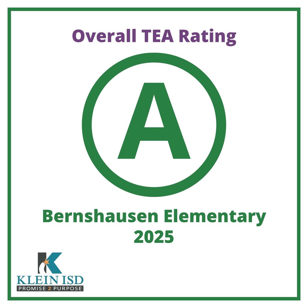 staar rating