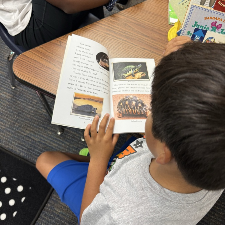student reading