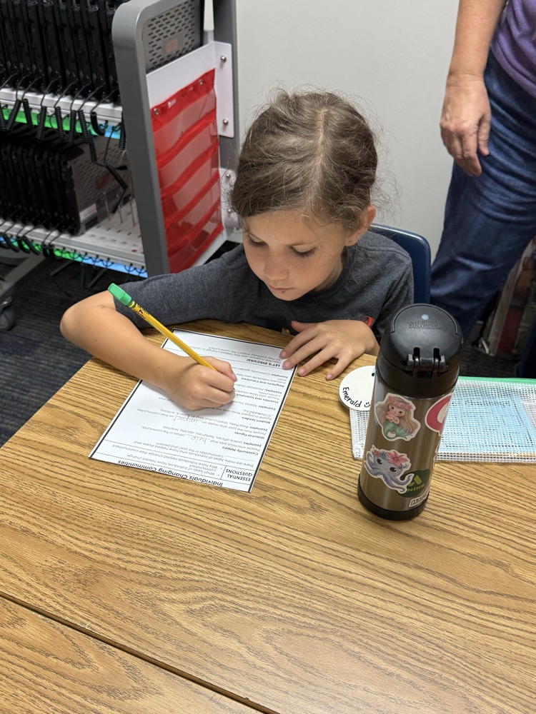 students learning