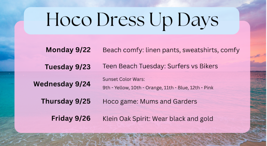 HOCO Dress Up Days