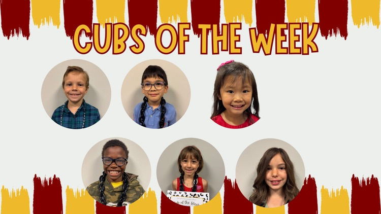 cubs of the week