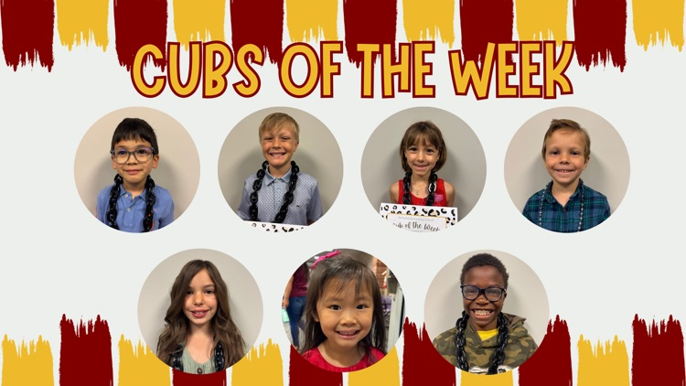 cubs of the week
