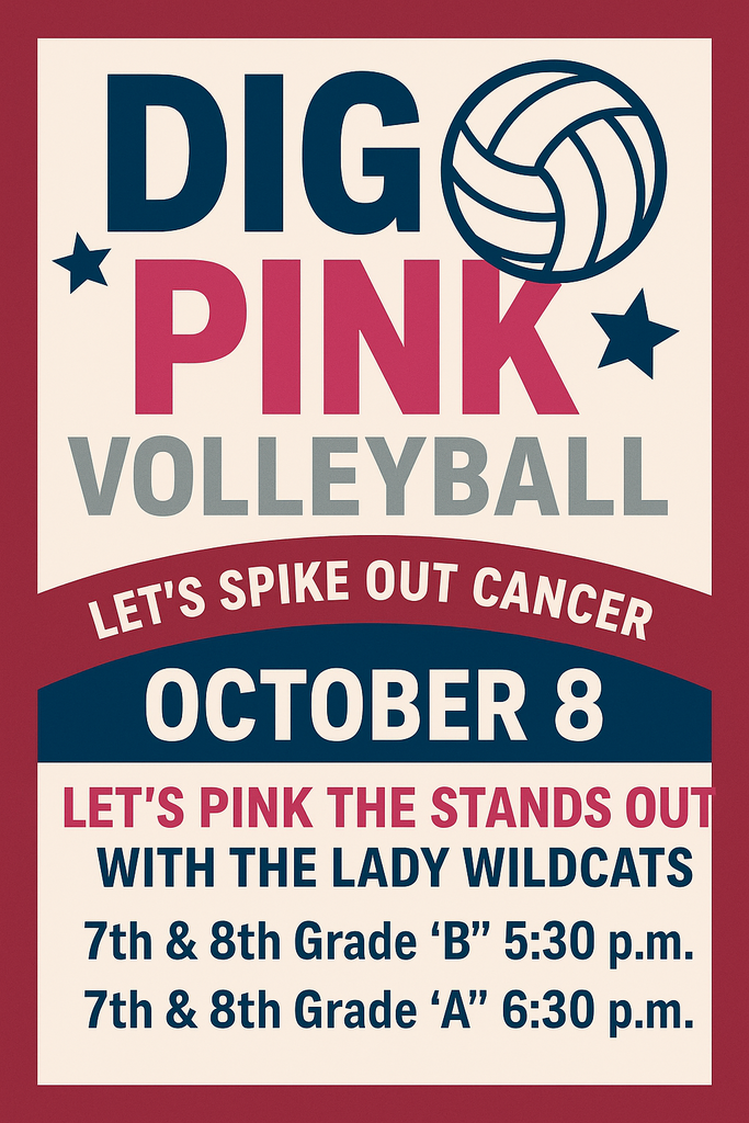 Dig Pink Volleyball game October 8