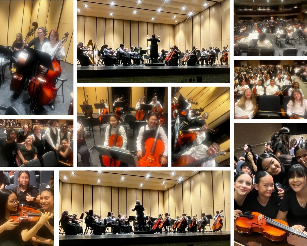 Orchestra