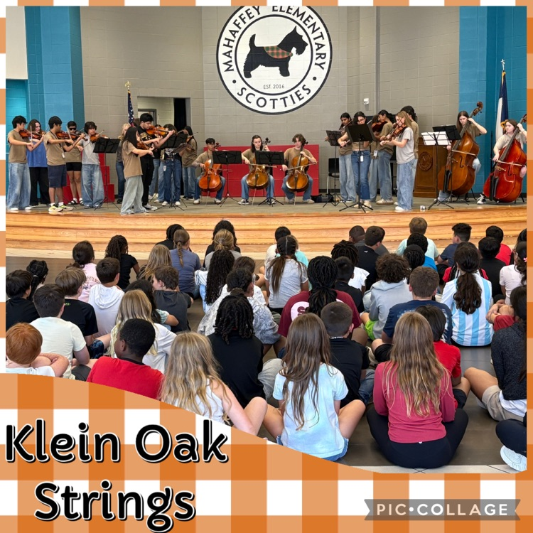 Klein Oak Strings playing for Mahaffey 5th grade students
