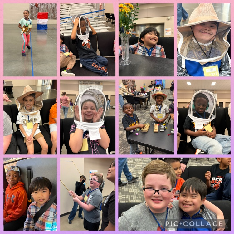 Collage of Field Trip photos