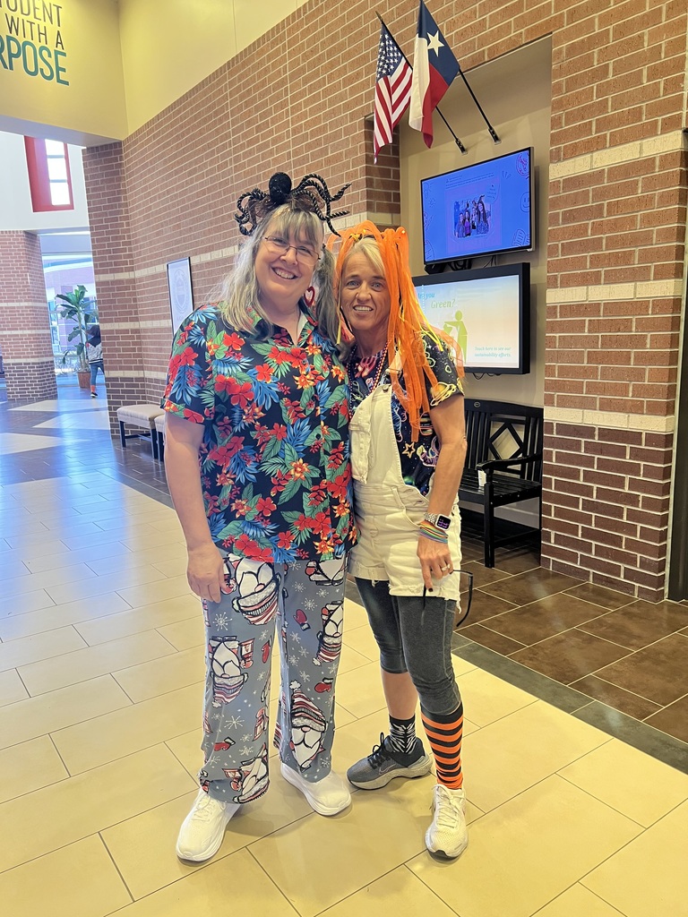Two teachers pose for mismatch dress up day