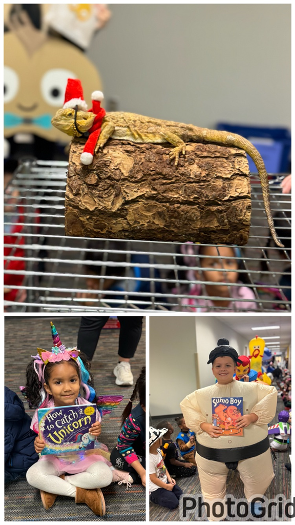 students and teachers dressed as storybook characters