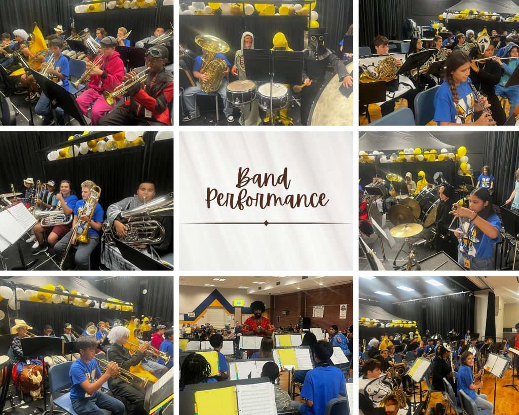 Band Performance