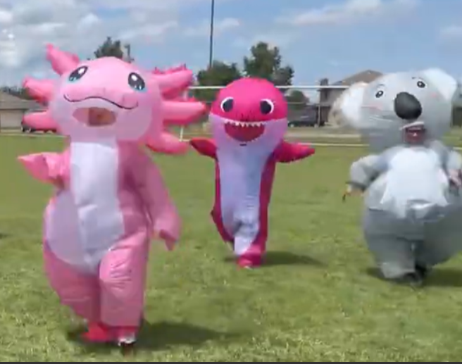 pink dino, pink shark, and gray koala 
