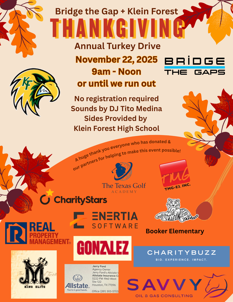 Bringing The Gap Flyer