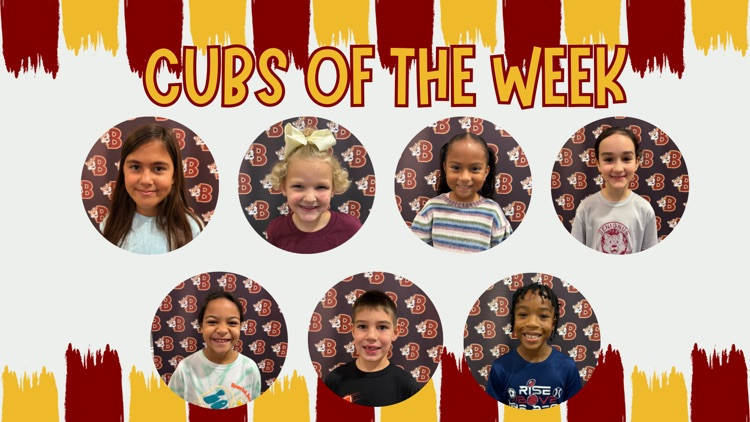 cubs of the week