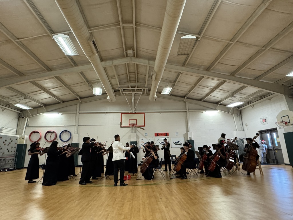 Klein Forest Orchestra performance