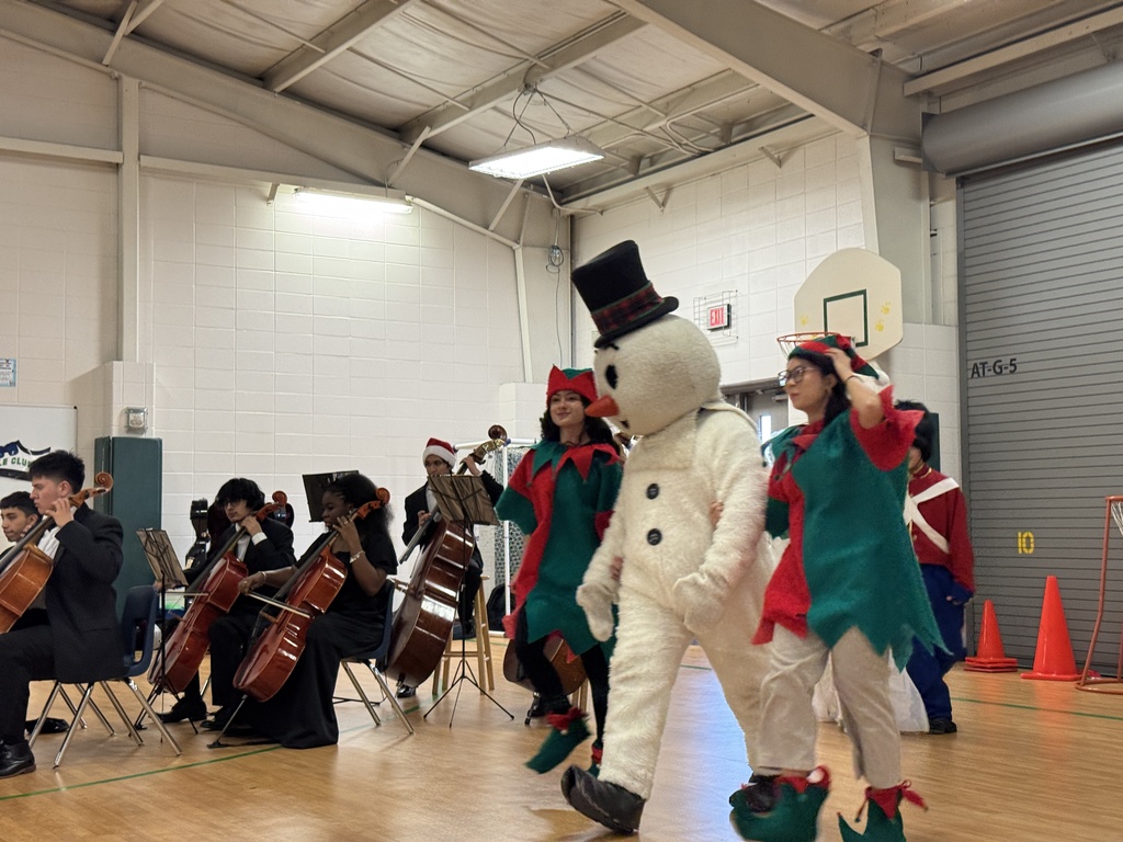 Klein Forest Orchestra performance