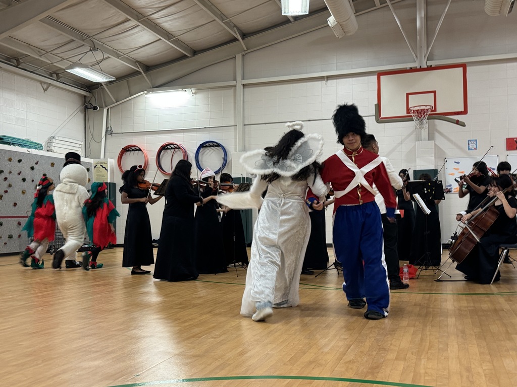 Klein Forest Orchestra performance