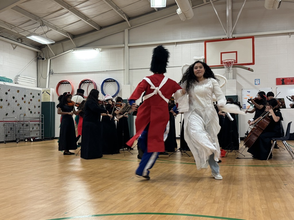 Klein Forest Orchestra performance