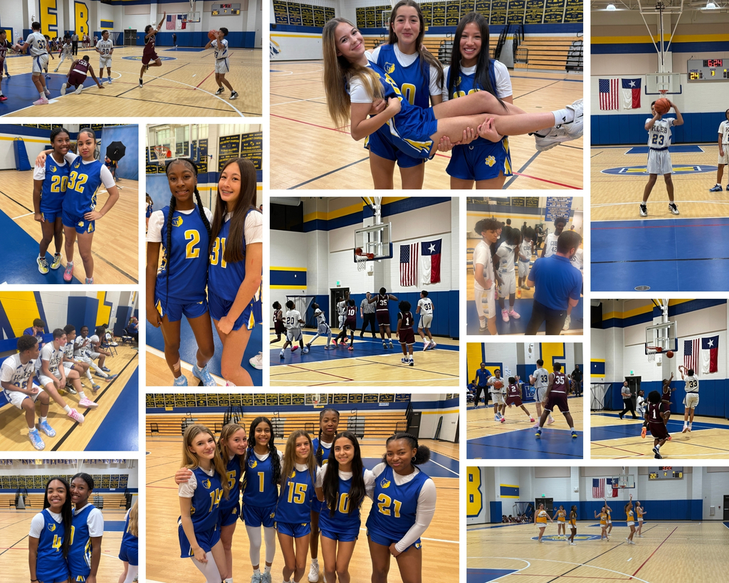 Basketball Highlights