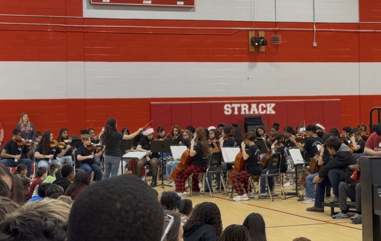 orchestra
