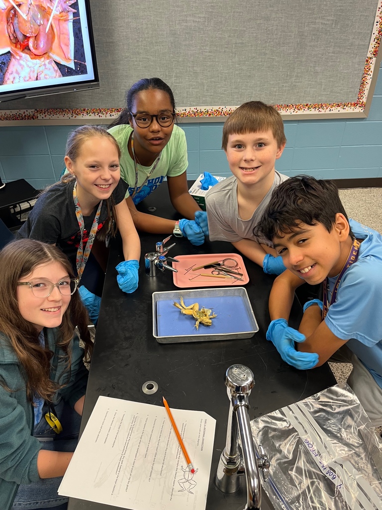 Frog Dissection