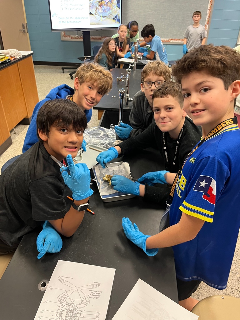 Frog Dissection