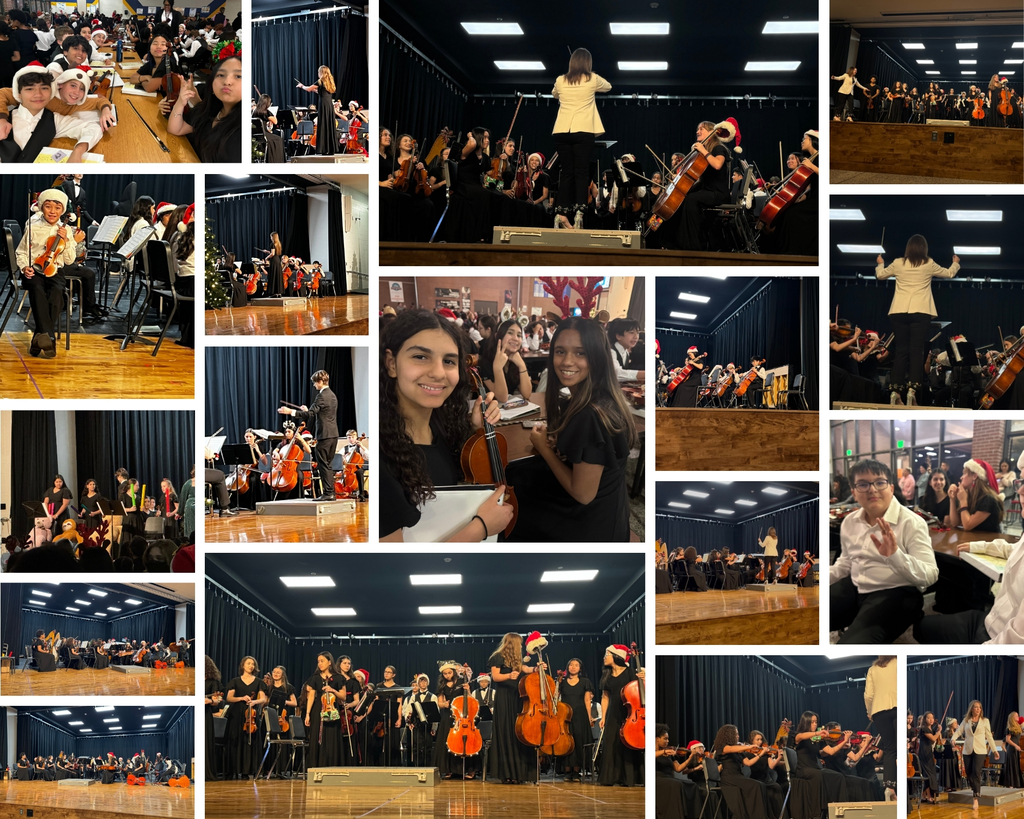 Orchestra Performance