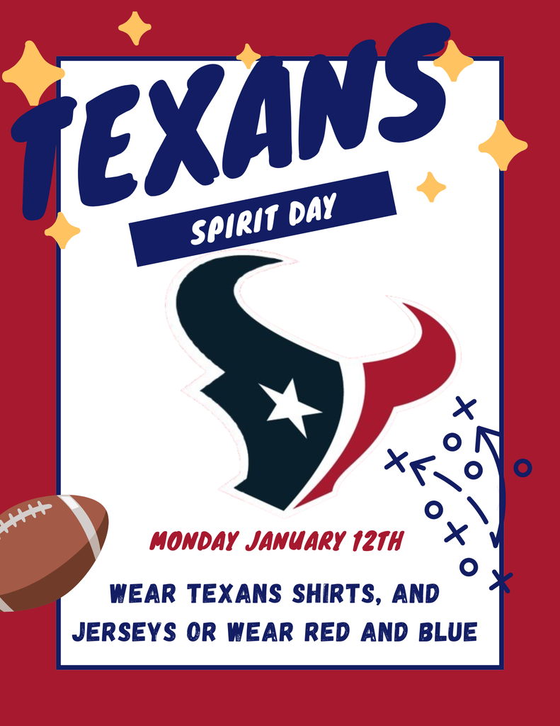 Texans Spirit Day