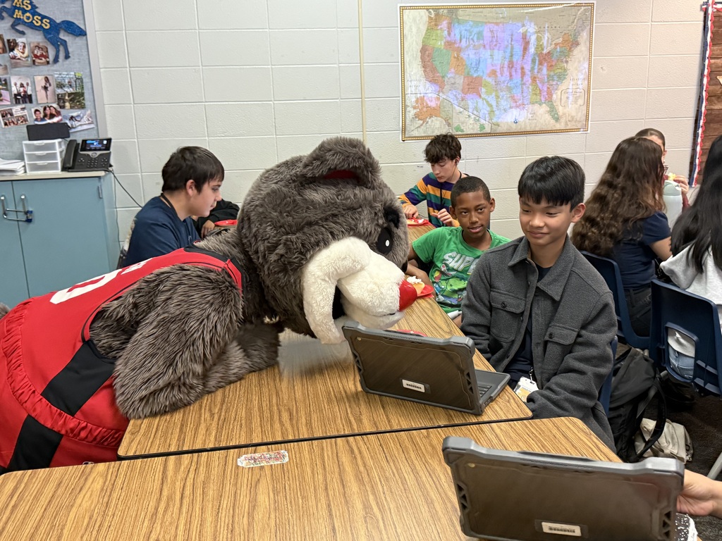 Rockets Teacher of the Month