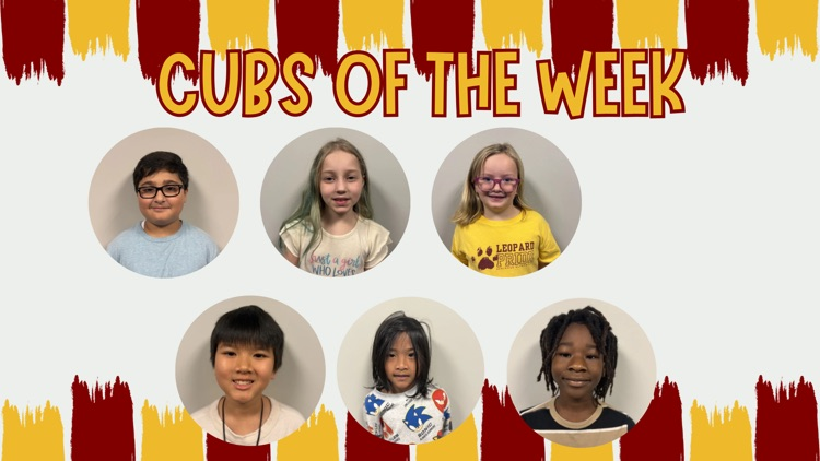 cubs of the week