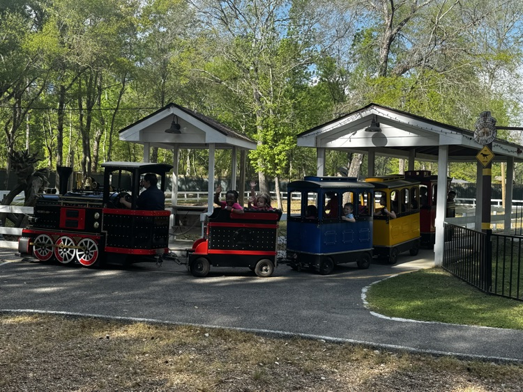 first grade field trip