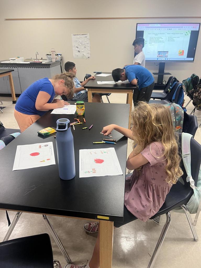 Students Drawing Plants