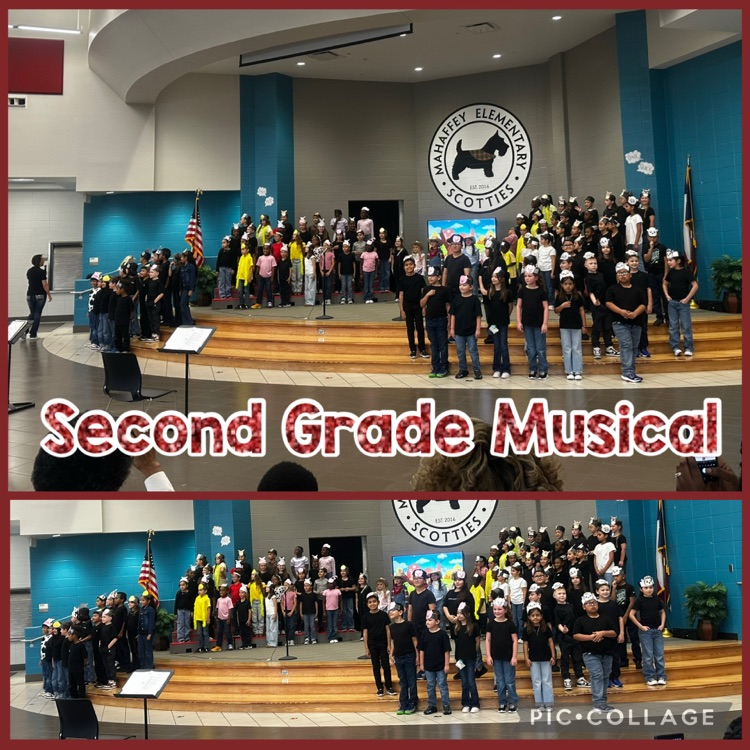 Image of the Mahaffey 2nd Grade Musical being performed