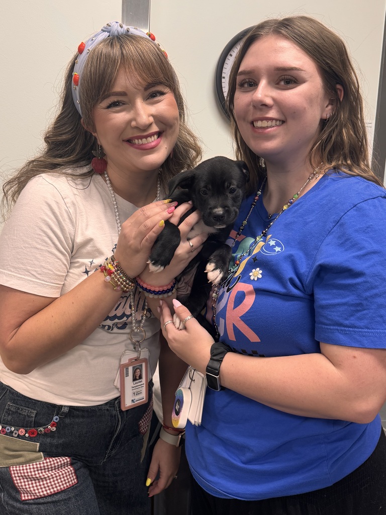 PuppiesI