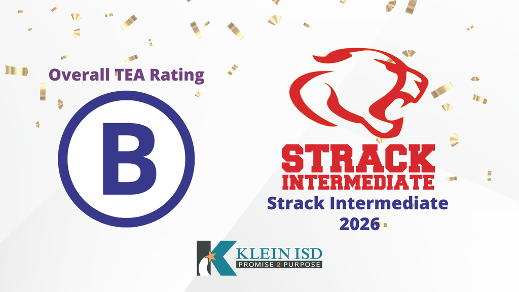 Strack Intermediate logo with red cat, "B" rating, "Overall TEA Rating" text, and confetti on a white background.