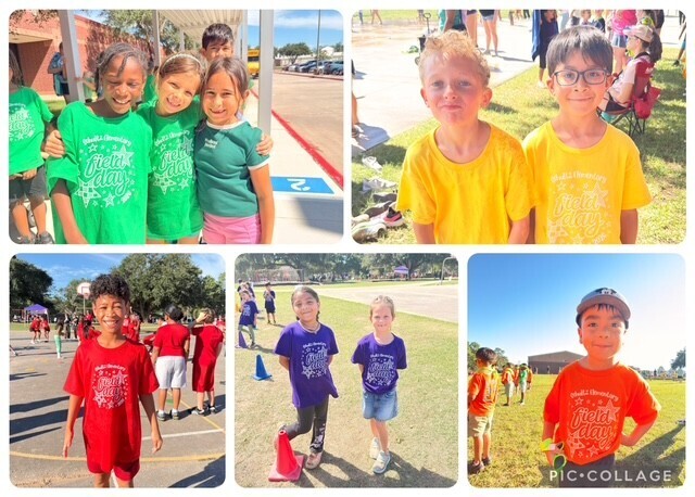 A collage of children in different colored shirts participating in an outdoor event on a sunny day.