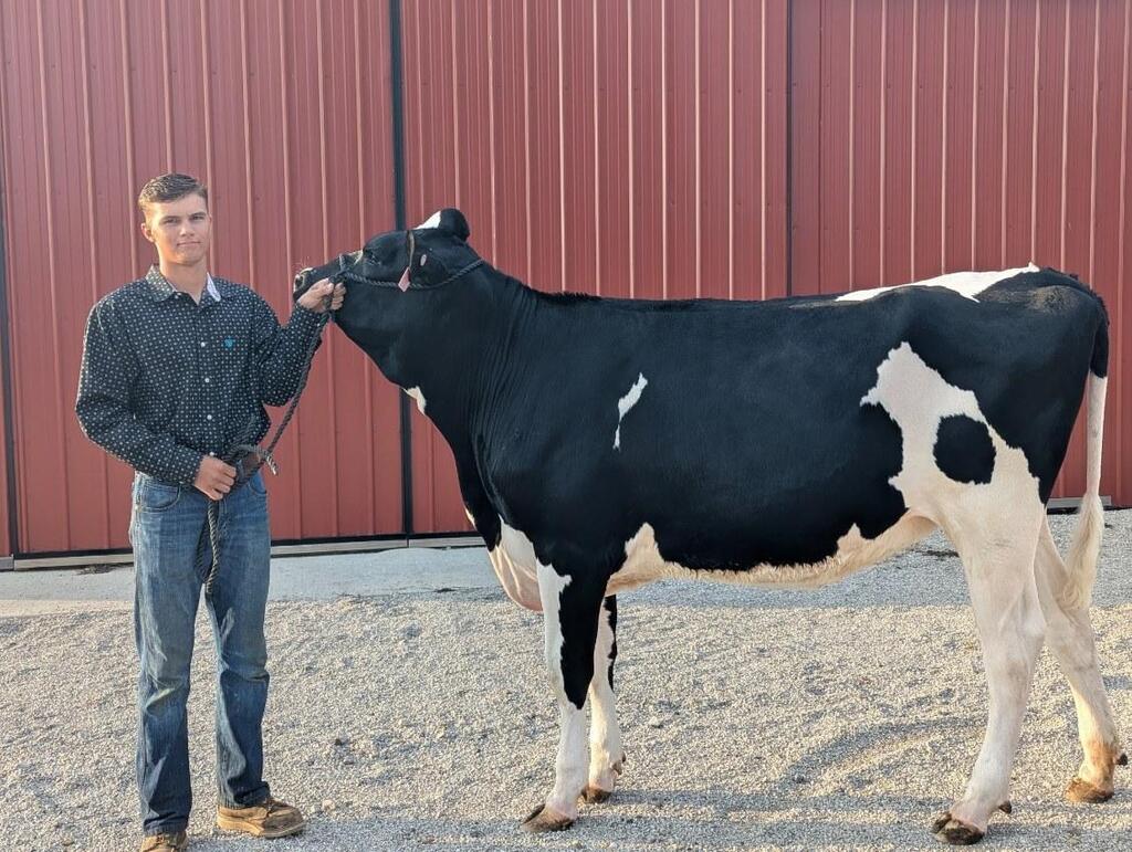 FFA members gearing up for the Knox County Fair