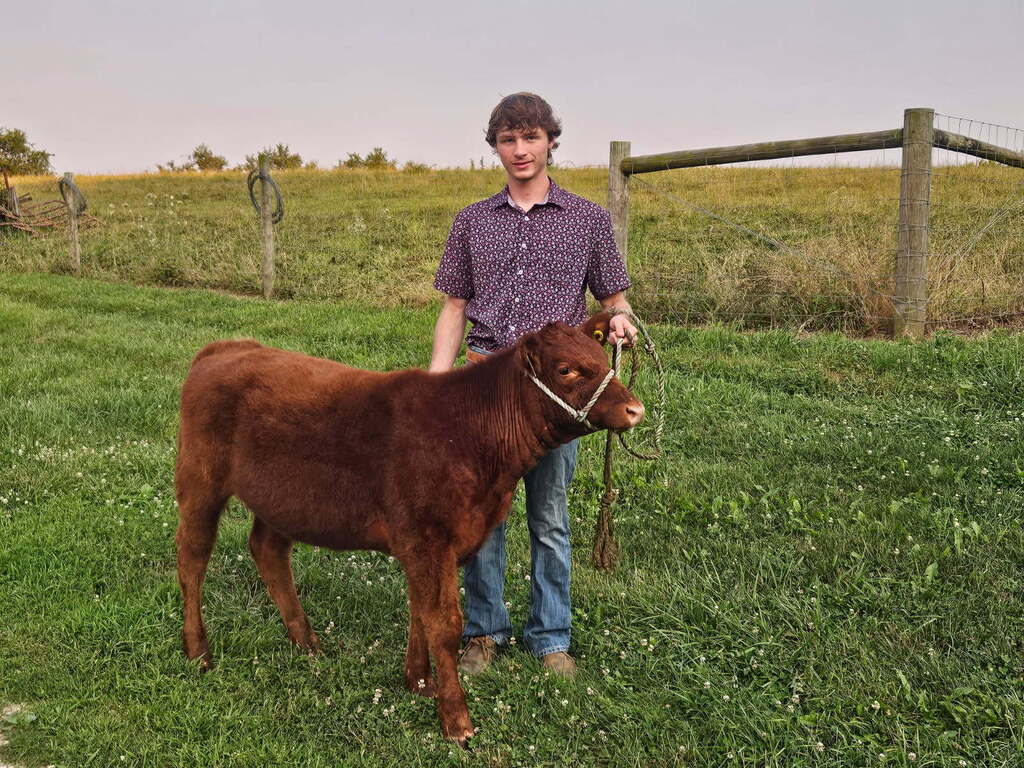 FFA members gearing up for the Knox County Fair