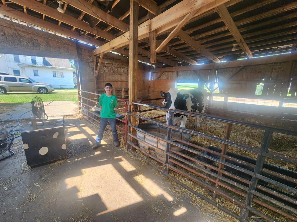 FFA members gearing up for the Knox County Fair