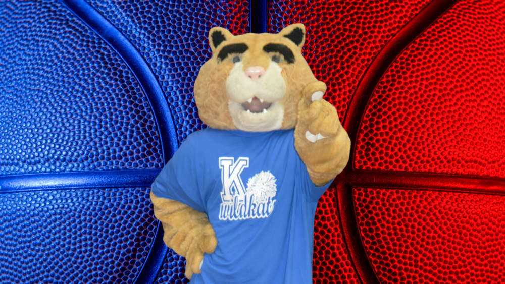 Wildkat mascot in front of blue and red basketball