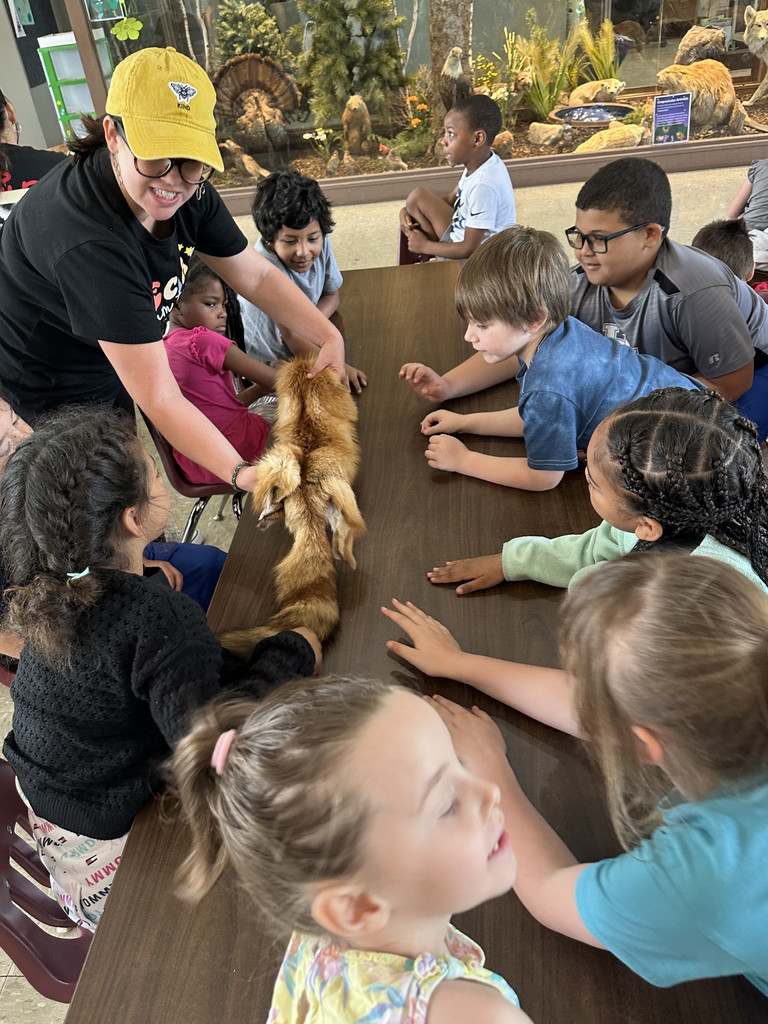 Our 1st grade students took a visit to Kirkendall Interpretive Nature Center at Jackson Morrow on Friday! Students learned about animals native to Indiana, completed activities, and took a hike through the woods. They observed different things happening in nature, and enjoyed being outside!